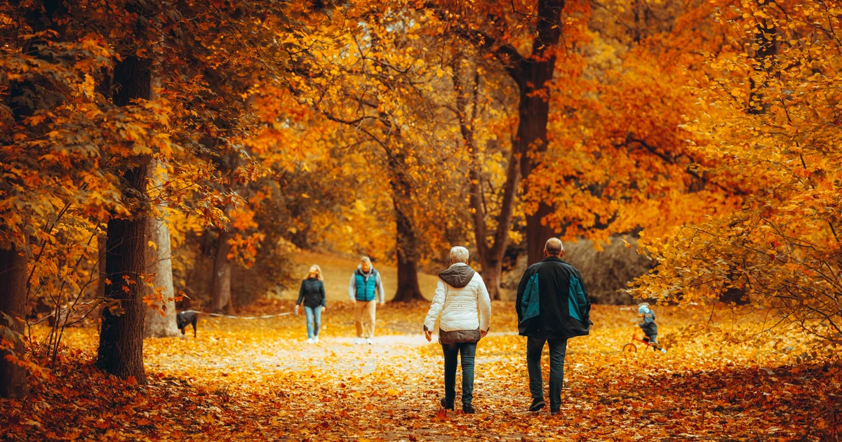 Retirement Isn't What You Expected: How Hypnosis Helps You Find Purpose After the Paycheck Stops
