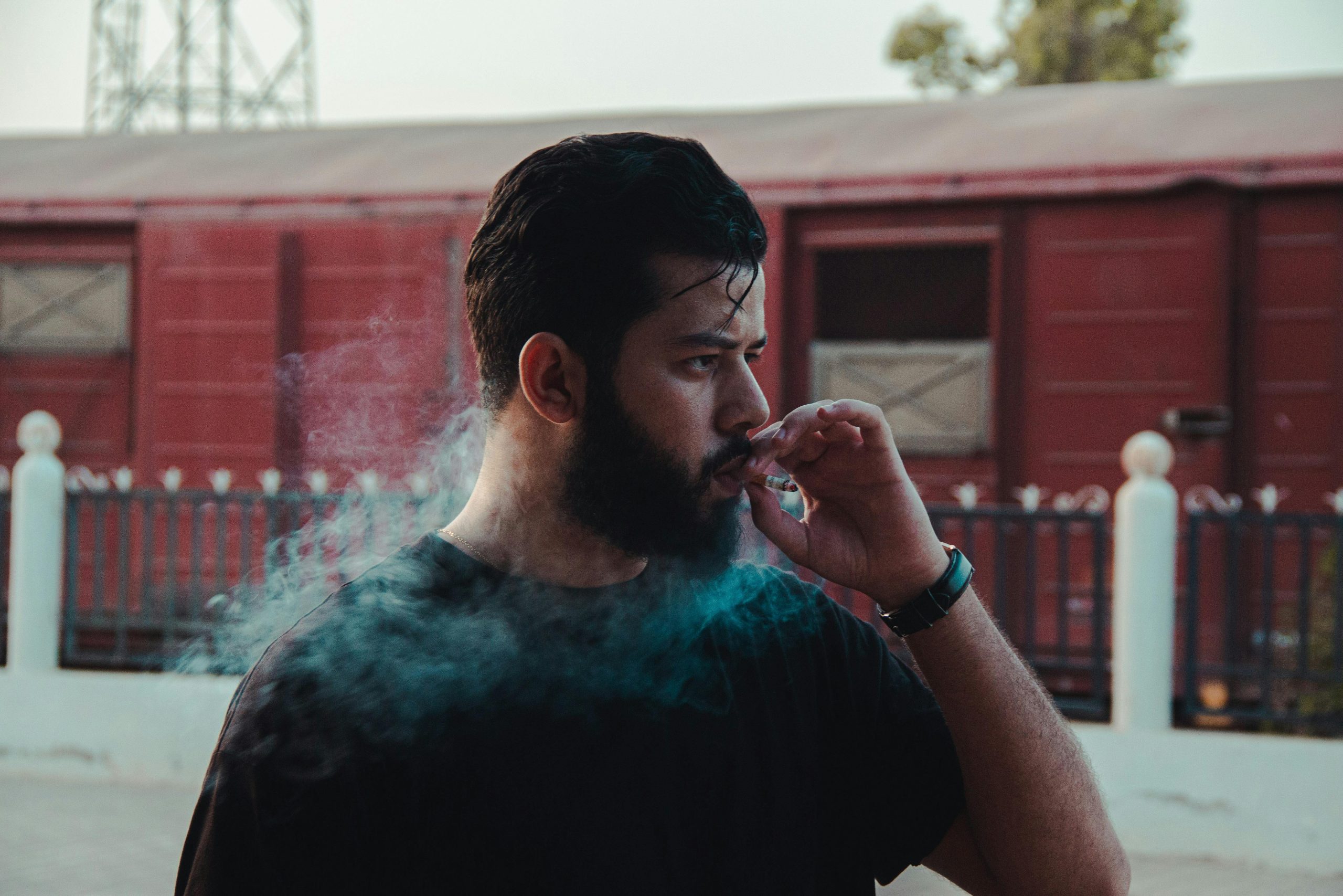 See Why Willpower Alone Isn’t Enough: How Professional Guided Hypnosis Can Help You Quit Smoking tobacco, vapes and chewing